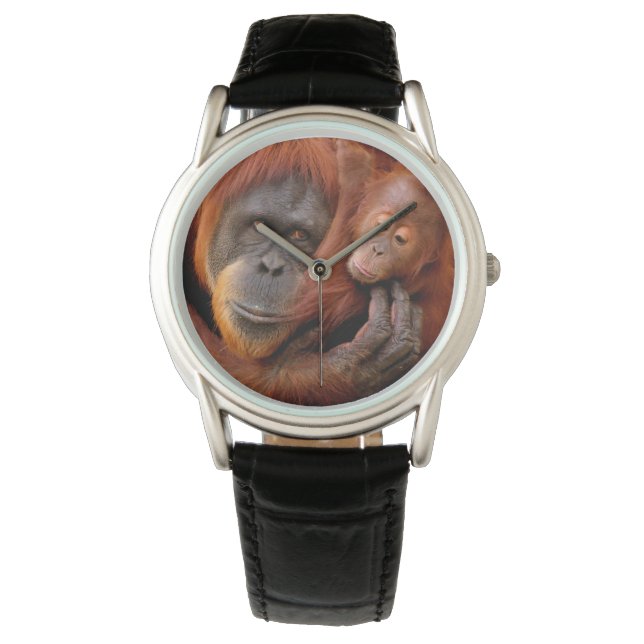 Cutest Baby Animals | Orangutan Mom & Baby Watch (Front)