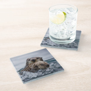 Cutest Baby Animals Otter Baby & Mother Glass Coaster