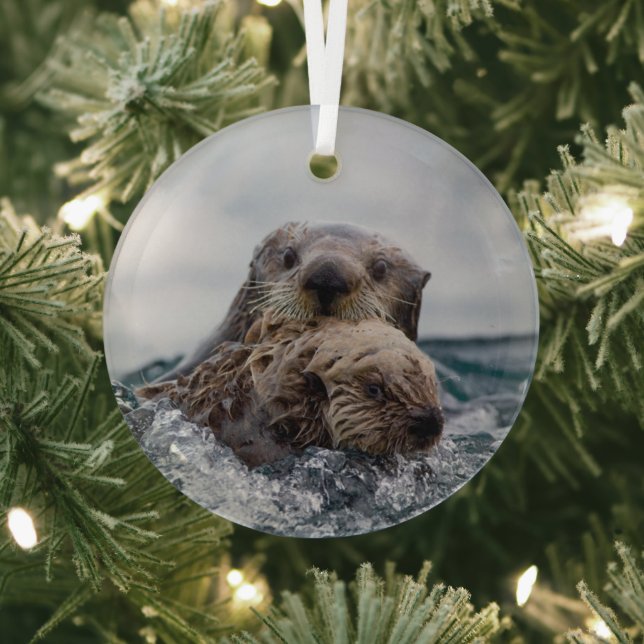 Cutest Baby Animals | Otter Baby & Mother Glass Ornament (Insitu)
