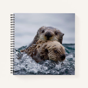 Cutest Baby Animals Otter Baby & Mother Notebook