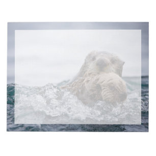 Cutest Baby Animals   Otter Baby & Mother Notepad
