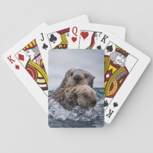 Cutest Baby Animals   Otter Baby & Mother Playing Cards