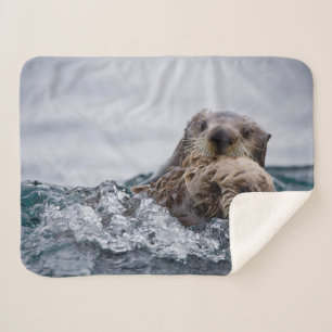 Cutest Baby Animals   Otter Baby & Mother Sherpa Blanket