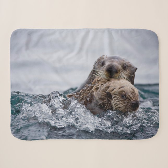 Cutest Baby Animals | Otter Baby & Mother Sherpa Blanket (Front (Horizontal))