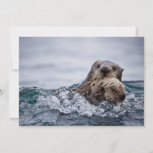 Cutest Baby Animals Otter Baby & Mother Thank You Card