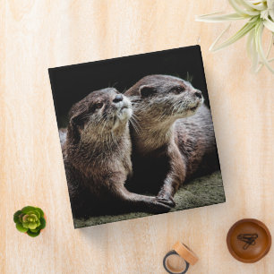 Cutest Baby Animals   Otters Holding Hands Binder