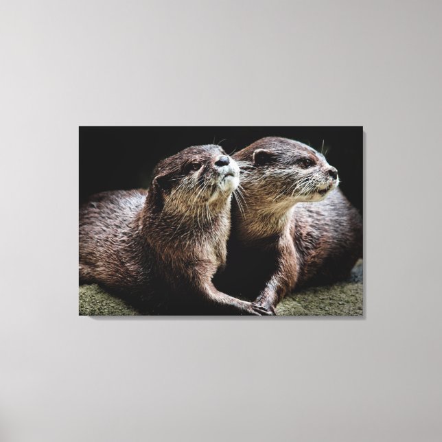 Cutest Baby Animals | Otters Holding Hands Canvas Print (Front)
