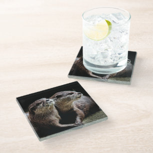 Cutest Baby Animals Otters Holding Hands Glass Coaster