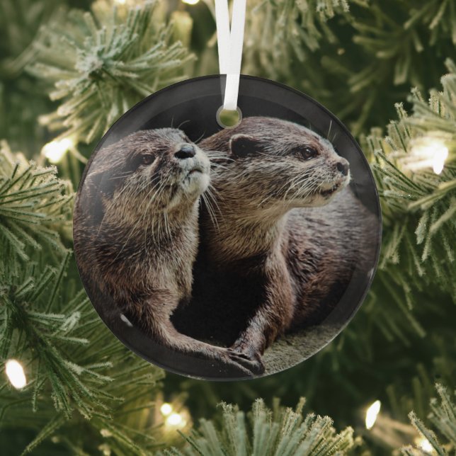 Cutest Baby Animals | Otters Holding Hands Glass Ornament (Insitu)