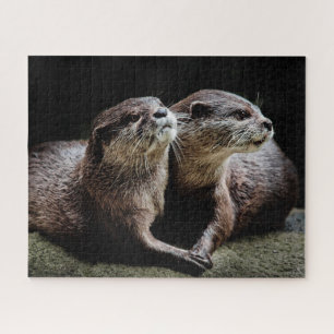 Cutest Baby Animals   Otters Holding Hands Jigsaw Puzzle