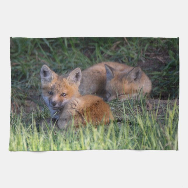 Cutest Baby Animals | Pair of Red Fox Kit Siblings Kitchen Towel (Horizontal)