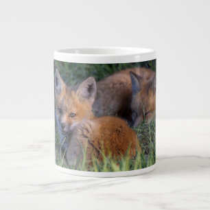 Cutest Baby Animals   Pair of Red Fox Kit Siblings Large Coffee Mug