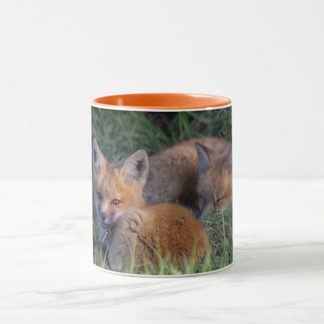 Cutest Baby Animals | Pair of Red Fox Kit Siblings Mug (Center)