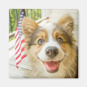 Cutest Baby Animals Patriotic Corgi Puppy Magnet