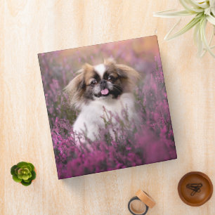 Cutest Baby Animals Pekingese Puppy Binder
