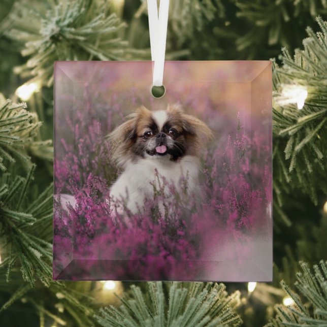 Cutest Baby Animals | Pekingese Puppy Glass Ornament (Insitu)