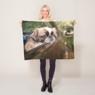 Cutest Baby Animals   Pekingese Puppy in Car Fleece Blanket