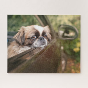Cutest Baby Animals Pekingese Puppy in Car Jigsaw Puzzle