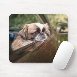 Cutest Baby Animals   Pekingese Puppy in Car Mouse Pad