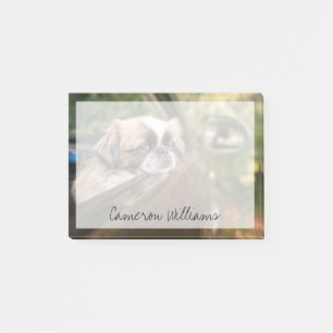 Cutest Baby Animals Pekingese Puppy in Car Post-it Notes