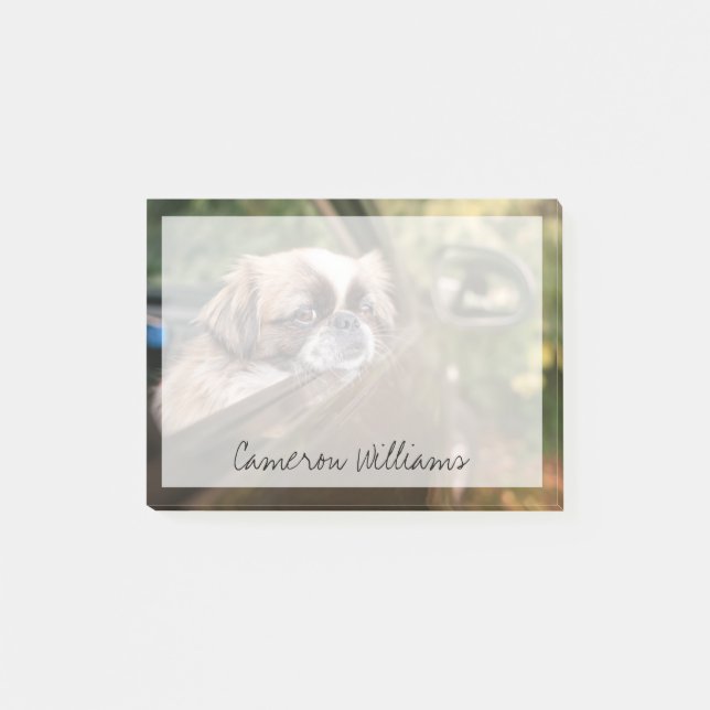 Cutest Baby Animals | Pekingese Puppy in Car Post-it Notes (Front)