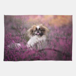 Cutest Baby Animals   Pekingese Puppy Kitchen Towel