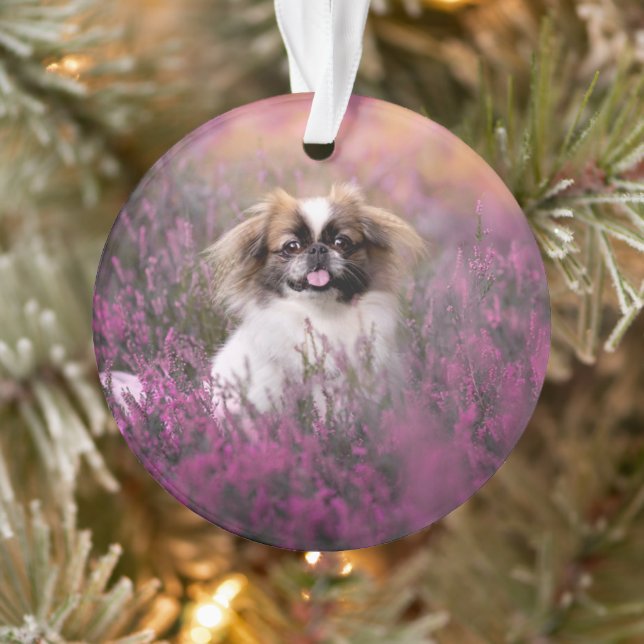 Cutest Baby Animals | Pekingese Puppy Ornament (Tree)