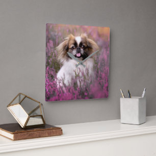 Cutest Baby Animals Pekingese Puppy Square Wall Clock