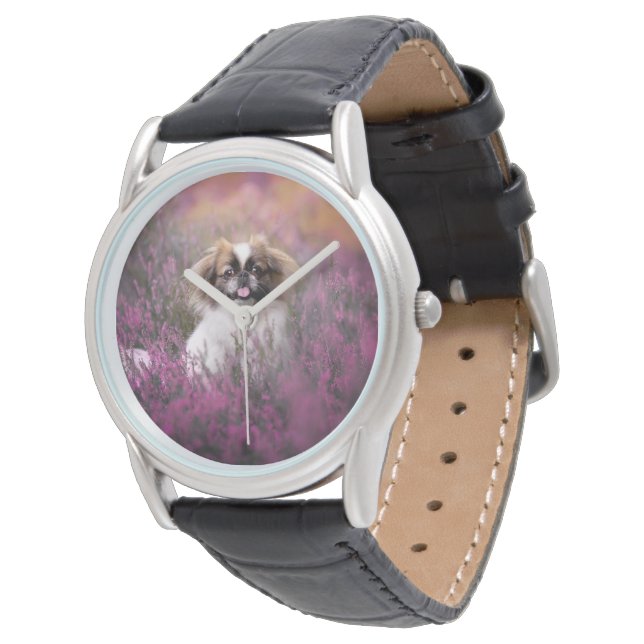 Cutest Baby Animals | Pekingese Puppy Watch (Angled)