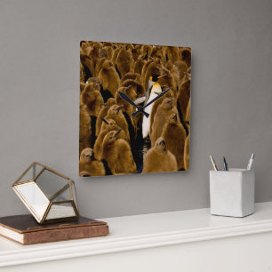Cutest Baby Animals Penguin Among Youngsters Square Wall Clock