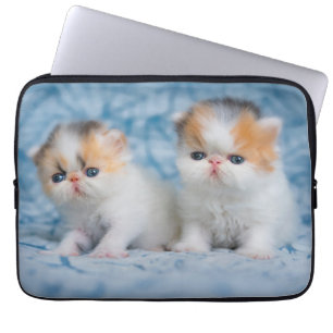 Cutest Baby Animals Persian Calico Kitten Laptop Sleeve