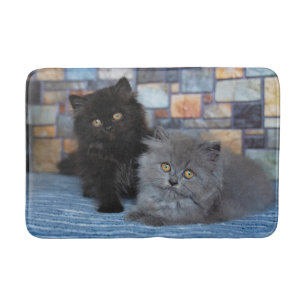 Cutest Baby Animals   Persian Kittens on Blanket Bath Mat
