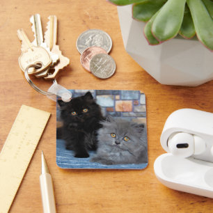 Cutest Baby Animals Persian Kittens on Blanket Keychain