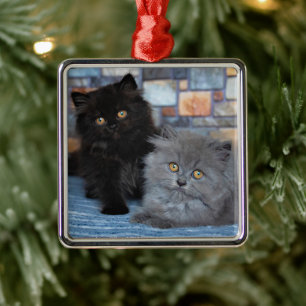 Cutest Baby Animals   Persian Kittens on Blanket Metal Ornament