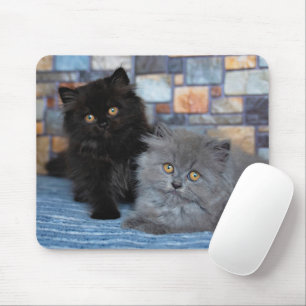 Cutest Baby Animals Persian Kittens on Blanket Mouse Pad