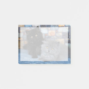 Cutest Baby Animals Persian Kittens on Blanket Post-it Notes