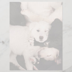 Cutest Baby Animals Pile of Puppies