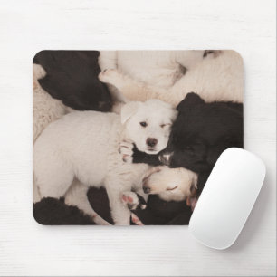 Cutest Baby Animals   Pile of Puppies Mouse Pad