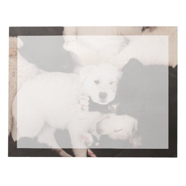 Cutest Baby Animals | Pile of Puppies Notepad (Front)