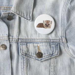 Cutest Baby Animals   Pine Marten 2 Inch Round Button