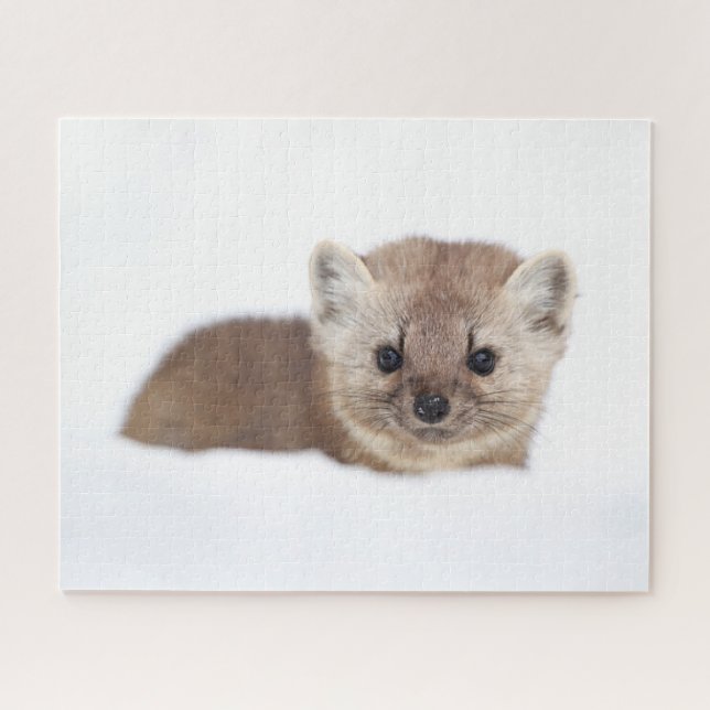 Cutest Baby Animals | Pine Marten Jigsaw Puzzle (Horizontal)