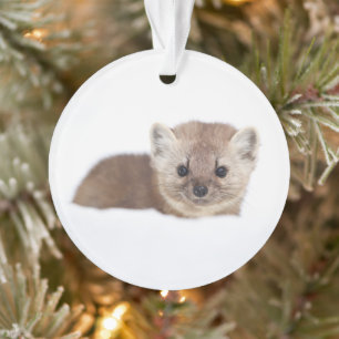 Cutest Baby Animals Pine Marten Ornament