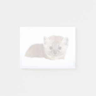 Cutest Baby Animals Pine Marten Post-it Notes