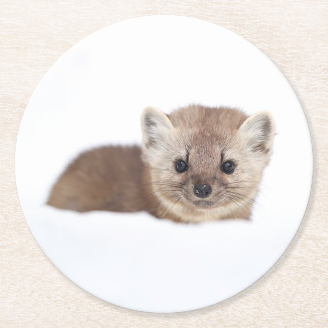 Cutest Baby Animals | Pine Marten Round Paper Coaster (Front)