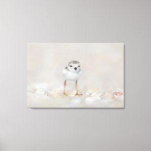 Cutest Baby Animals Piping Plover Chick Canvas Print