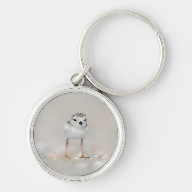 Cutest Baby Animals | Piping Plover Chick Keychain (Front)