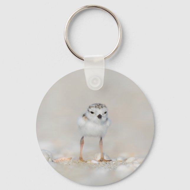 Cutest Baby Animals | Piping Plover Chick Keychain (Front)