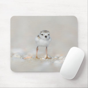 Cutest Baby Animals   Piping Plover Chick Mouse Pad