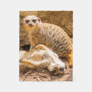 Cutest Baby Animals   Playful Meerkats Fleece Blanket