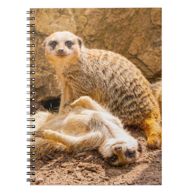 Cutest Baby Animals | Playful Meerkats Notebook (Front)